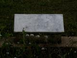 image of grave number 859530